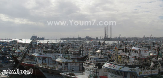 ميناء الصيد فى بورسعيد (8)