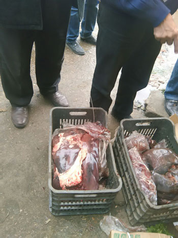  مصادرة اللحوم الفاسدة (8)
