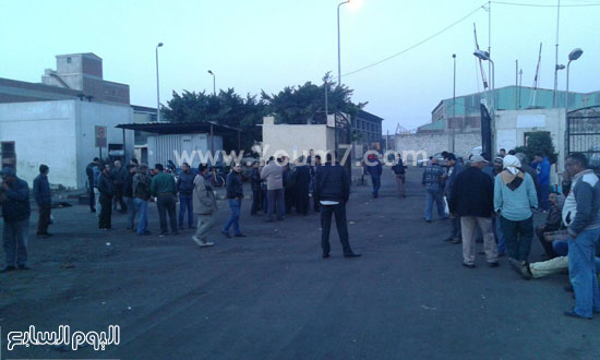 إضراب عمال بشركة نظافة خاصة بالإسكندرية لليوم الثانى بسبب الرواتب (1)