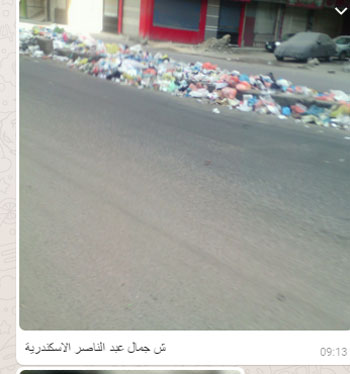 القمامة بشارع جمال عبد الناصر بالإسكندرية (1)