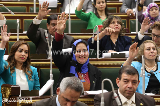 مجلس النواب الجلسة العامه البرلمان (2)