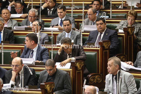 مجلس النواب الجلسة العامه البرلمان (13)