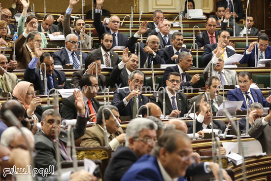 مجلس النواب الجلسة العامه البرلمان (17)