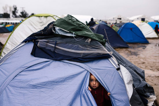 لاجئيين سوريين - مقدونيا - سوريا (4)