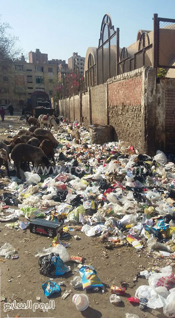هيئات النظافة، القمامة، محافظة القاهرة، البيئة، شجرة مريم ، حى المطرية  (12)