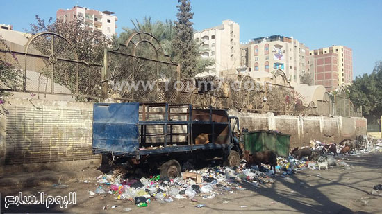 هيئات النظافة، القمامة، محافظة القاهرة، البيئة، شجرة مريم ، حى المطرية  (14)