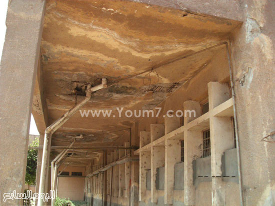 مستشفى شبين القناطر (2)