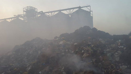 قارئ يشكو حرق القمامة وسط المناطق السكنية بكفر الشيخ (5)