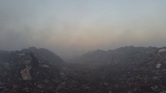 قارئ يشكو حرق القمامة وسط المناطق السكنية بكفر الشيخ (9)