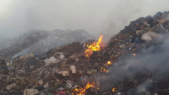 قارئ يشكو حرق القمامة وسط المناطق السكنية بكفر الشيخ (2)