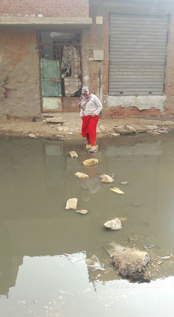 شوارع مدينة فايد تغرق فى مياه الصرف الصحى (7)