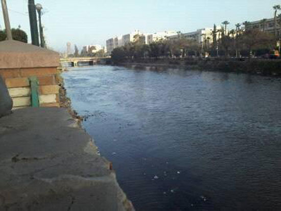 ماسورة صرف صحى تصب على أحد فروع نهر النيل (2)