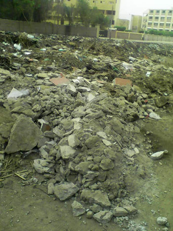 القمامة تملأ شوارع قرية صندفا فى المنيا (3)
