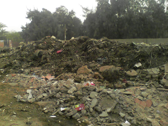 القمامة تملأ شوارع قرية صندفا فى المنيا (4)