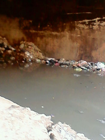 تراكم القمامة ومياه الصرف أسفل كوبرى الدائرى بمنشية البكارى (1)