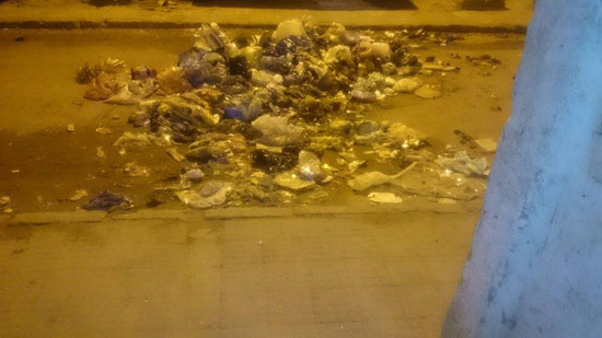 صحافة المواطن، الاسكندرية، القمامة، منطقة القبارى، اخبار الاسكندرية (2)