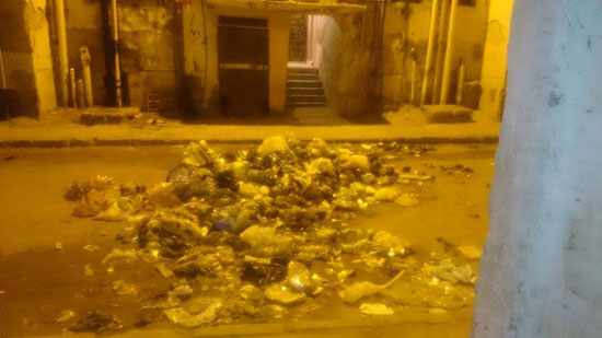 صحافة المواطن، الاسكندرية، القمامة، منطقة القبارى، اخبار الاسكندرية (3)