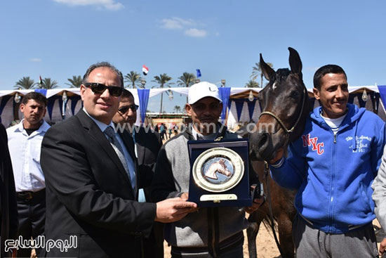 مهرجان-البحيرة-الدولى-التاسع-للخيول-العربية-الأصيلة-(8)