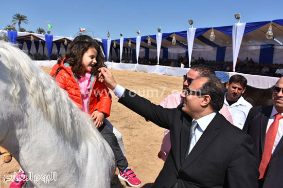 مهرجان-البحيرة-الدولى-التاسع-للخيول-العربية-الأصيلة-(9)