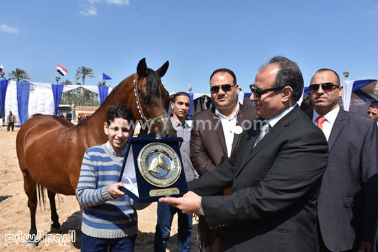 مهرجان-البحيرة-الدولى-التاسع-للخيول-العربية-الأصيلة-(12)