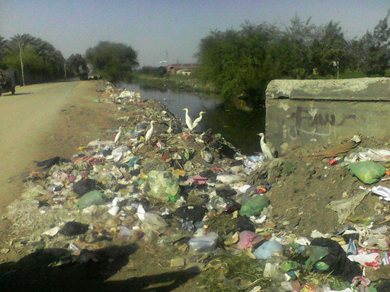 صحافة المواطن ، صور وابعت ، قرية صندفا، المنيا ، انتشار القمامة، اخبار المنيا (3)