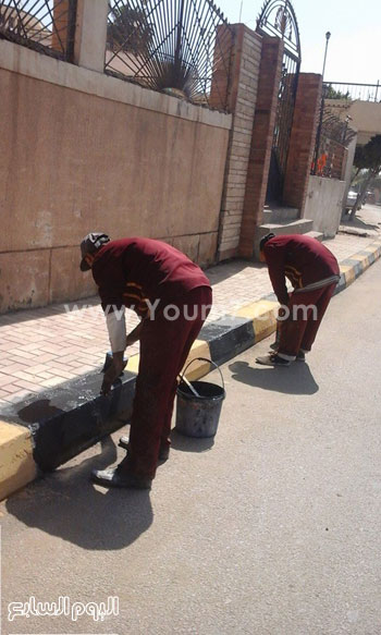 حملة نظافة -طلاء الأرصفة -شوارع دسوق بكفر الشيخ (2)