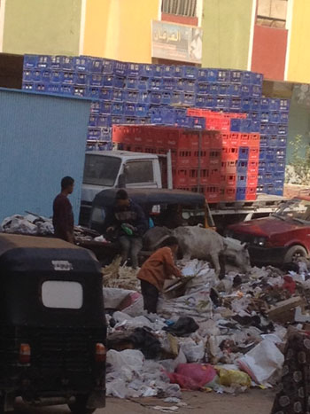 القمامة-تهدد-حياة-سكان-شارع-على-عبد-العزيز-(1)