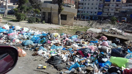 القمامة فى قنال المحمودية بالإسكندرية (3)