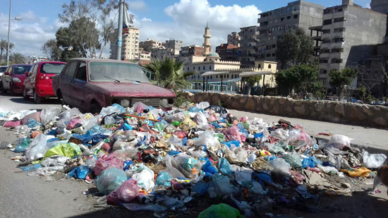 القمامة فى قنال المحمودية بالإسكندرية (4)
