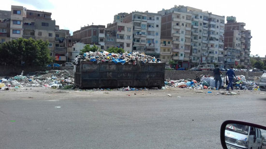 القمامة فى قنال المحمودية بالإسكندرية (5)