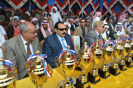 محافظ الإسماعيلية يوزع الجوائز على الفائزين بالمهرجان (3)