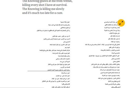 قصيدة أشرف فياض  (2)