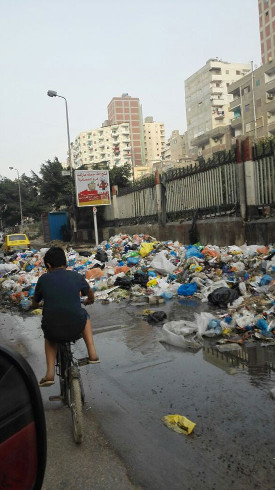 القمامة والمخلفات تحاصر شوارع العصافرة فى الإسكندرية  (2)