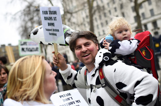 احتجاج المزارعين في لندن (5)