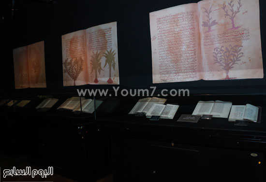متحف المخطوطات بمكتبة الإسكندرية (1)