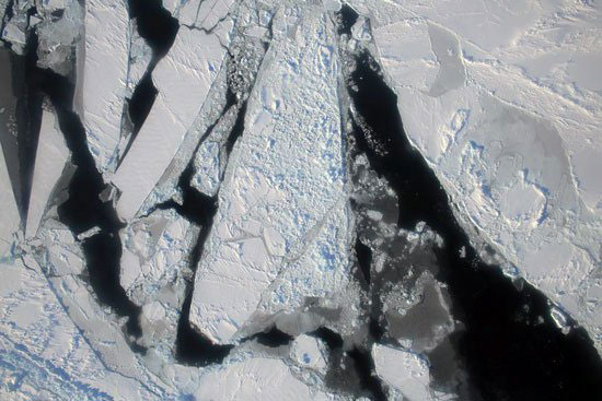 320162935341170غطاء-الجليد،-المحيط-القطبى-الشمالى،-انخفاض-دراجات-الحرارة،-ناسا،-الجليد-(2)