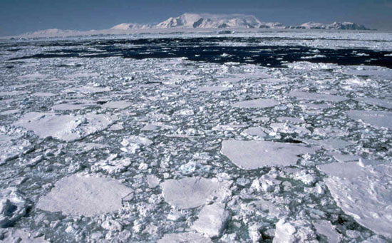 غطاء الجليد، المحيط القطبى الشمالى، انخفاض دراجات الحرارة، ناسا، الجليد (7)