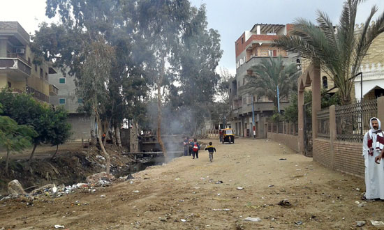 الوحدة المحلية بقرية أبو دشيشة فى الدقهلية تزيل القمامة (2)