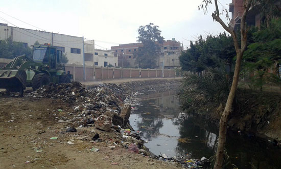 الوحدة المحلية بقرية أبو دشيشة فى الدقهلية تزيل القمامة (3)