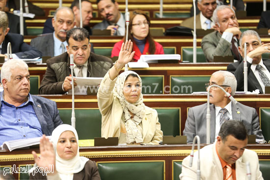 مجلس النواب البرلمان (1)