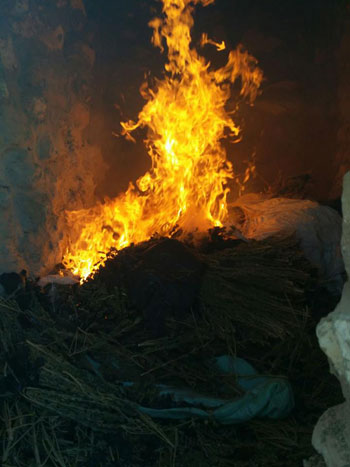 ضبط وحرق 4 مزارع نباتات مخدرة (3)