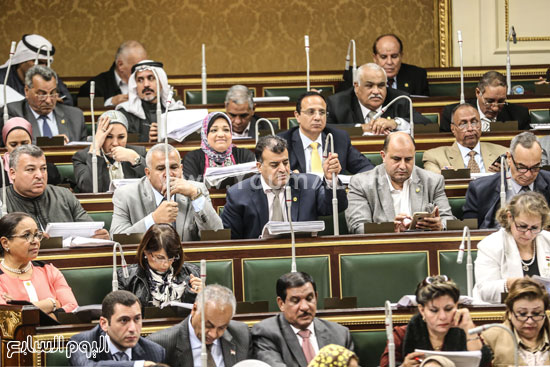 مجلس النواب الجلسة العامة البرلمان (8)