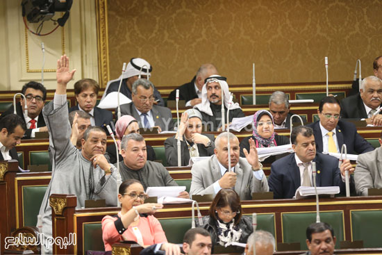 مجلس النواب الجلسة العامة البرلمان (9)
