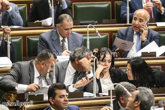 مجلس النواب البرلمان على عبد العال (6)