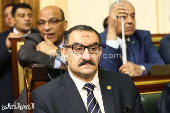 البرلمان مجلس النواب على عبد العال  (34)