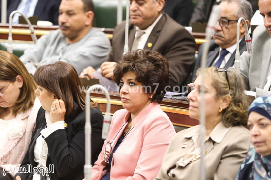 البرلمان مجلس النواب على عبد العال  (35)