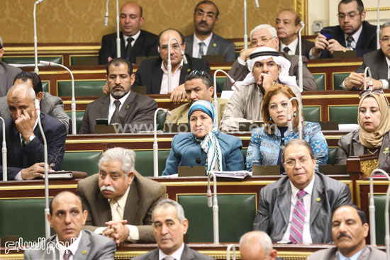 البرلمان مجلس النواب على عبد العال  (36)