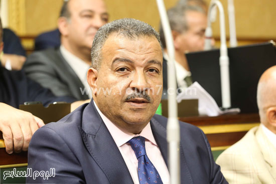 البرلمان مجلس النواب على عبد العال  (37)