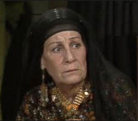 اخبار الفن، اخبار الفنانين، هدى سلطان، سناء جميل، كريمة مختار، سميحة ايوب، مسلسل الضوء الشارد، مسلسل ليالى الحلمية، مسلسل الشهد والدموع (4)