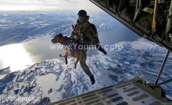 قفزة جندى مع كلبه من طائرة حربية  -اليوم السابع -4 -2015
